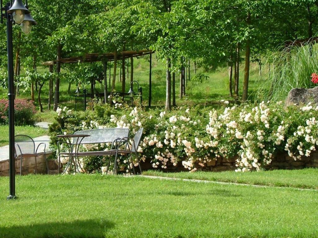 Agriturismo Podere La Casaccia Poppi Exteriér fotografie